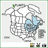 Distribution of Carex tuckermanii Dewey. . Image Available. 