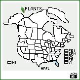 Distribution of Aristida floridana (Chapm.) Vasey. . Image Available. 