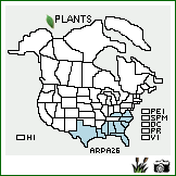 Distribution of Aristida palustris (Chapm.) Vasey. . Image Available. 