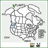 Distribution of Astragalus diaphanus Douglas ex Hook.. . Image Available. 