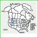 Distribution of Astragalus diversifolius A. Gray. . 