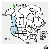 Distribution of Astragalus filipes Torr. ex A. Gray. . Image Available. 