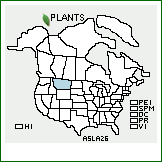 Distribution of Astragalus lackschewitzii Lavin & H. Marriott. . 