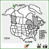 Distribution of Glyceria maxima (Hartm.) Holmb.. . Image Available. 