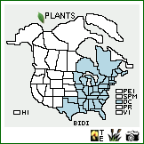 Distribution of Bidens discoidea (Torr. & A. Gray) Britton. . Image Available. 