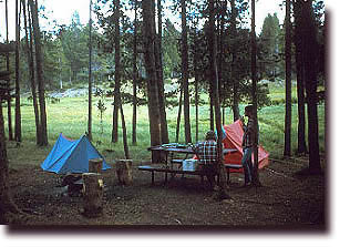 Campground with tents pitched in forest setting