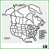 Distribution of Cenchrus gracillimus Nash. . Image Available. 