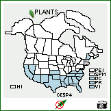 Distribution of Cenchrus spinifex Cav.. . Image Available. 