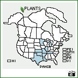 Distribution of Parthenium hispidum Raf.. . Image Available. 