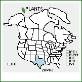 Distribution of Zanthoxylum parvum Shinners. . 