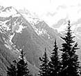 (NPS Photo) Mountain scenery at Olympic NP