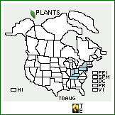 Distribution of Triosteum aurantiacum E.P. Bicknell var. glaucescens Wiegand. . 