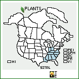 Distribution of Silphium trifoliatum L. var. latifolium A. Gray. . 