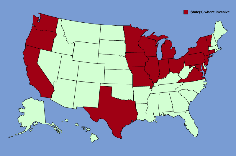 Distribution map of Robinia pseudoacacia