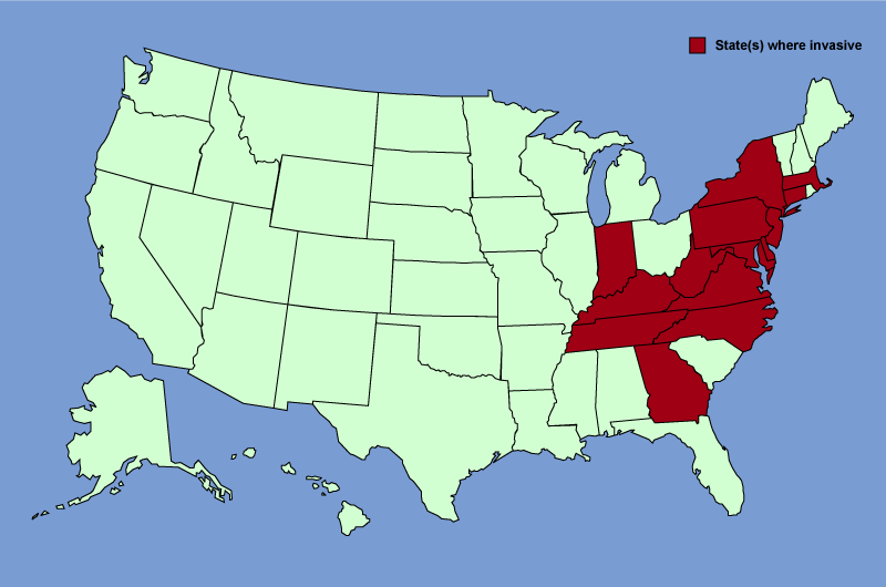 Distribution map of Microstegium vimineum