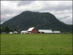 farmlands