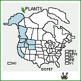 Distribution of Dodecatheon jeffreyi Van Houtte ssp. jeffreyi. . 