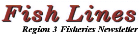 Fish Lines Newsletter