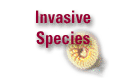 Invasives