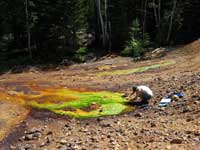 Image of USGS scientist conducting geochemical field work.