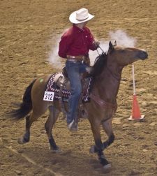 Trainer, David Carter, with Silverado. Silverado was adopted for $10,500. - ©CEBrooks/2008