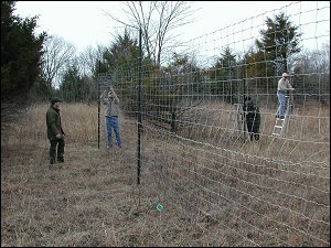 NPWRC Photo: Biologists constructing an exclosure fence to protect vegetation from White-tailed deer.