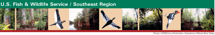 Southeast Region U.S. Fish & Wildlife Service