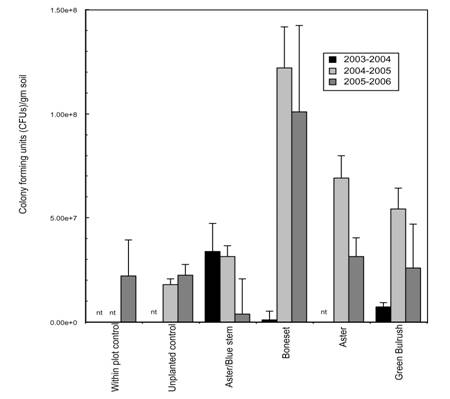 Microbial Population Density Under Phytoremediating Plants for Three Seasons