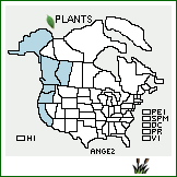 Distribution of Angelica genuflexa Nutt.. . 