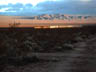 Kelso Dunes in the Mojave National Preserve at sunrise. Photo by David Miller, USGS