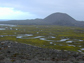 Photo of an estuary and surrounding salt marsh.