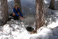 Photo of lead investigator Dr. Jill Baron preparing to extract water from a soil lysimeter.