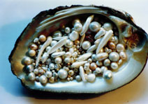 Natural pearls (photo:(Mississippi River Pearl Jewelry Co.)