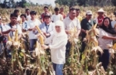 Photo of ex-combatants from the Moro National Liberation Front 