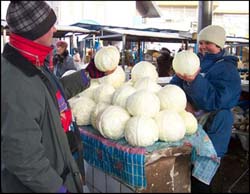 Photo: Constantin Salagor/Private Farmers Assistance Program
