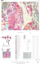 (Thumbnail) Geologic map of the Bonners Ferry 30' x 60' quadrangle, Idaho and Montana