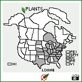 Distribution of Lonicera maackii (Rupr.) Herder. . Image Available. 