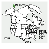 Distribution of Lonicera ×notha Zabel [ruprechtiana × tatarica]. . 