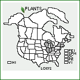 Distribution of Lonicera ×xylosteoides Tausch [tatarica × xylosteum]. . 