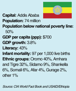 Capital: Addis Ababa; Population: 74 million; Population below national poverty line: 50%; GDP per capita (ppp): $700; GDP growth: 3.8%; Literacy: 43%; Infant mortality: 97 per 1,000 live births; Ethnic groups: Oromo 40%, Amhara and Tigre 32%, Sidamo 9%, Shankella 6%, Somali 6%, Afar 4%, Gurage 2%, other 1%; Source: CIA World Fact Book and USAID/Ethiopia