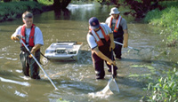 Field Crew Electrofishing