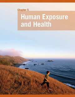 Human Exposure