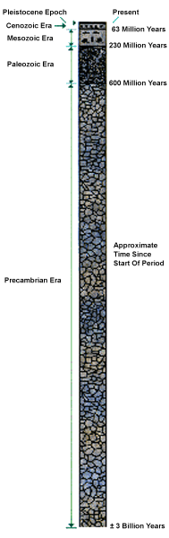 A diagram showing the geologic time chart