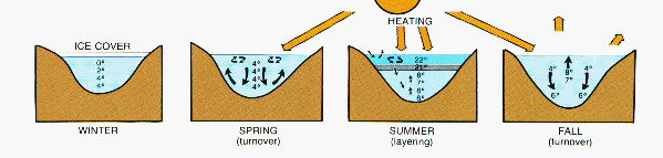 Diagram showing the lake stratification (layering) and turnover