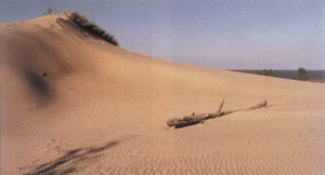 photo: U.S. National Parks Service, Indiana Dunes National Lakeshore