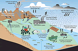 Thumbnail image showing environmental cycle of mercury contamination