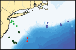 Middle Atlantic Bight study area