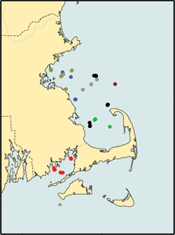 Coastal Massachusetts study area