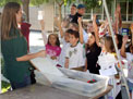 eager students raise their hands to answer a question