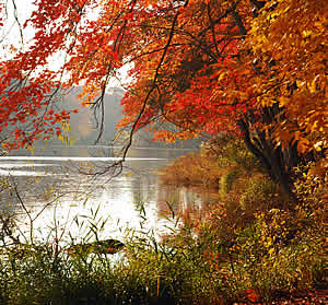 Photo: Autumn Landscape